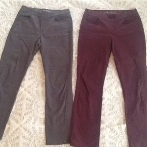 Bundle of 2 Gloria Vanderbilt "Avery" Pants